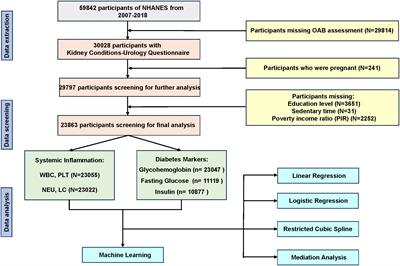 Diabetes mellitus, systemic inflammation and overactive bladder